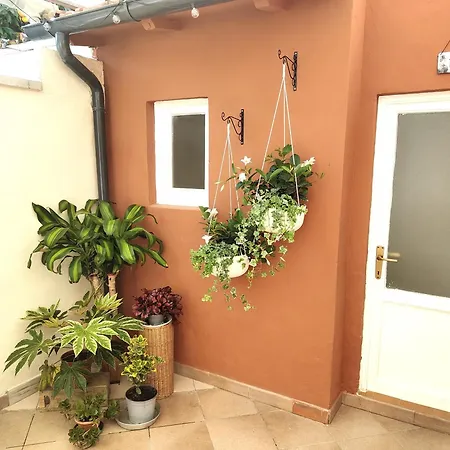 La Casetta Di Mario - A Cosy Seaside 度假居 维亚雷焦